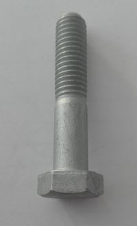 CASE TORNILLO