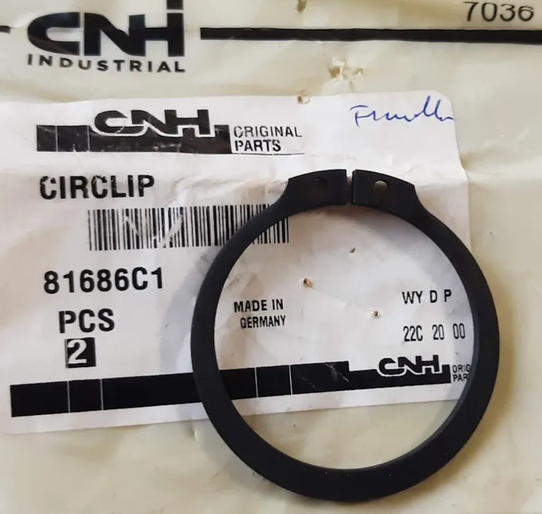 CASE FRENILLO
