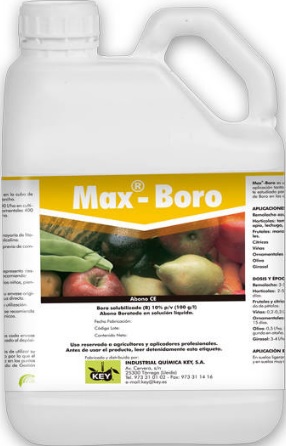 MAX BORO 5 LITROS.