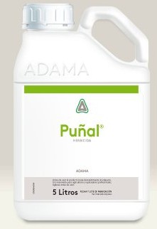 [HER0678/5] PUÑAL 5 LTS. Registro N. 17101