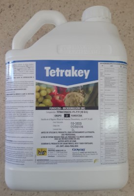 [HER0840] TETRAKEY 5LT Registro N. 24681