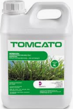 TOMCATO 20L. Registro N. 19.207