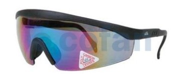 [HOM2938] GAFAS SEGURIDAD OCUL.AHUMADOS