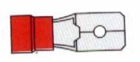 TERMINAL FASTON ROJO MACHO Pala Normal de 6.3mm ancho