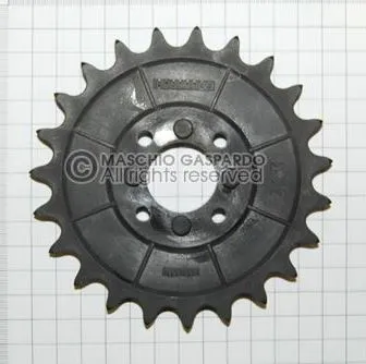 GASPARDO PIÑON Z-23 G66248168R SP